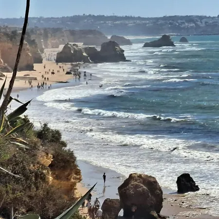 Rosa - Da Rocha بورتيماو