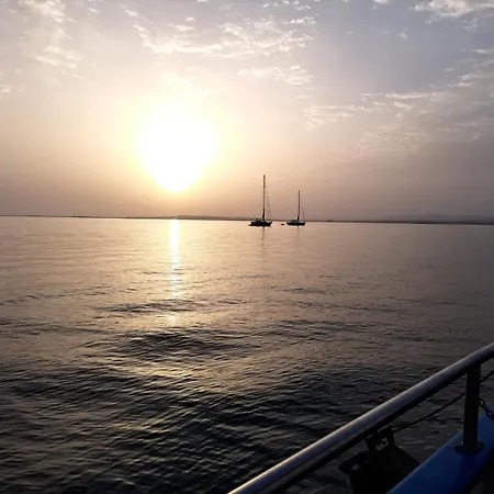 Rosa - Da Rocha بورتيماو