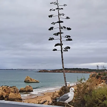 Apartmán Rosa - Da Rocha *