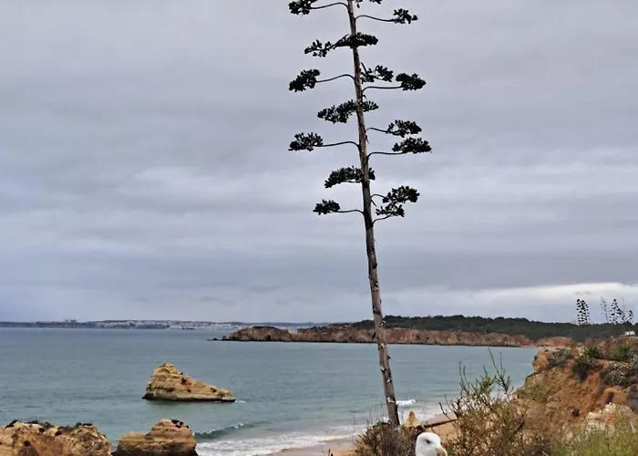 דירה Rosa - Da Rocha *