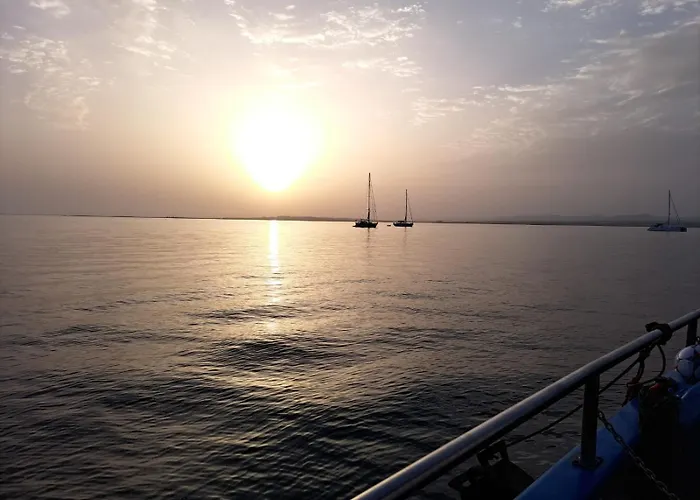 Rosa - Da Rocha פורטימאו